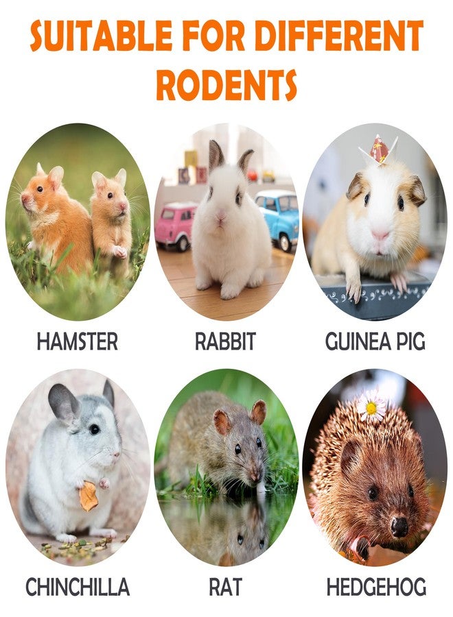 Sofier Timothy Hay Treats Rabbit Toys Bunny Guinea Pig Hamster Natural Chews for Teeth Handmade Rabbit Chews and Treats Chinchilla Rat Gerbil - Image 4